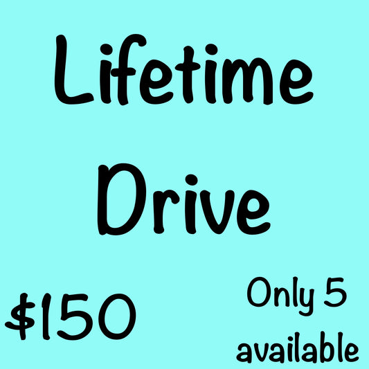 Lifetime Drive